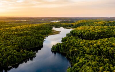 CDEV – Indigenous Loan Guarantee Program, Chief Executive Officer / Programme de garantie de prêts pour les Autochtones Chef de la direction