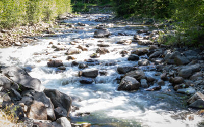Interior Health – Vice President, Indigenous Partnerships