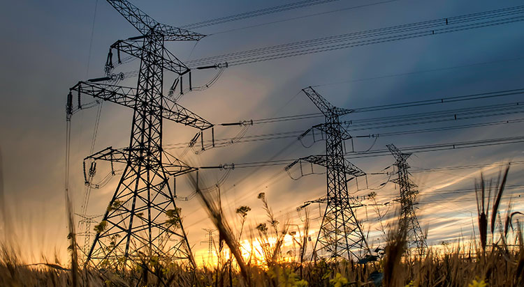 Director of Indigenous Relations – Independent Electricity System Operator