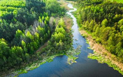 Executive Director of Wellness – Skwlāx te Secwépemcúl’ecw